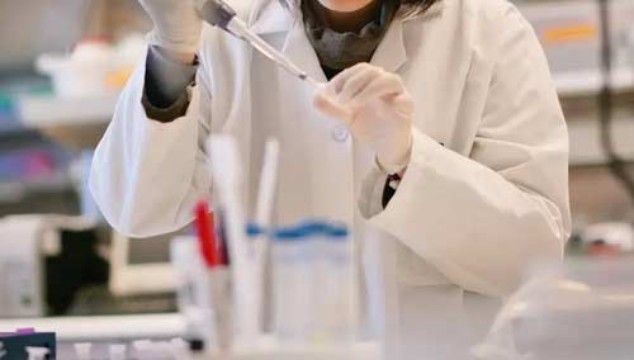 برای اولین بار دانشمندان توانستند در محیط آزمایشگاهی جنین مصنوعی پرورش دهند 4 رشد جنین بدون استفاده از اسپرم و تخمک در محیط آزمایشگاهی برای اولین بار در جهان