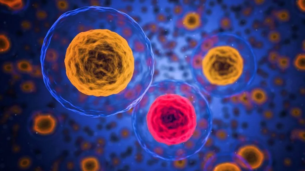 نرخ سرطان برای جوانان زیر ۵۰ سال درحال افزایش است 1 نرخ سرطان برای جوانان زیر ۵۰ سال درحال افزایش است.webp