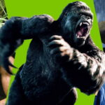 ۱۵ فیلم ترسناک سال ۲۰۲۳ که کمتر دیده شدهاند 44 ۱۲ فیلم تماشایی با چاشنی ماجراجویی در جنگل