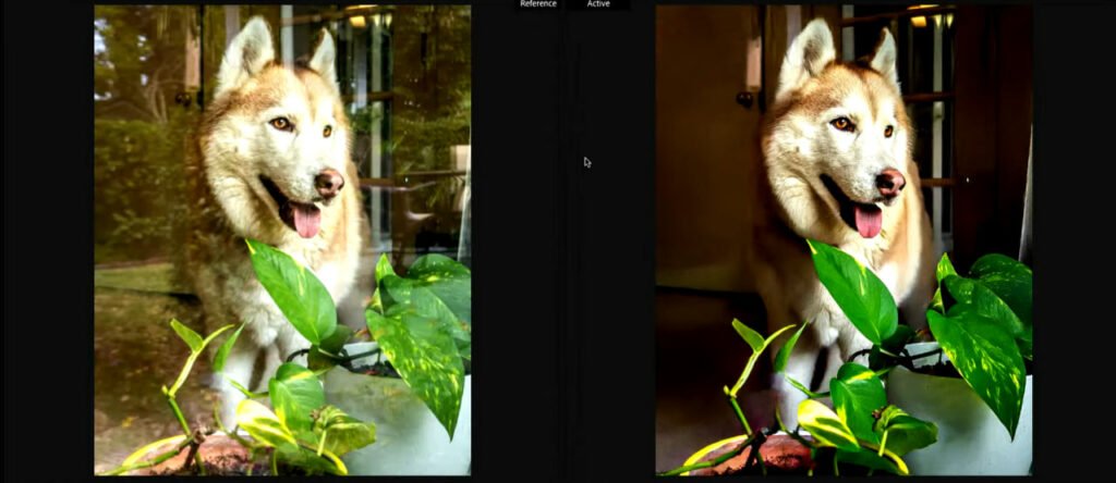 ادوبی از چندین ابزار هوش مصنوعی رونمایی کرد تماشا کنید