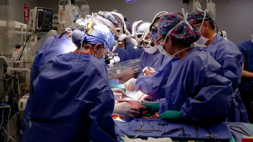 1698873319 8 دومین بیمار دریافت‌کننده قلب خوک به‌دلیل نارسایی قلبی درگذشت