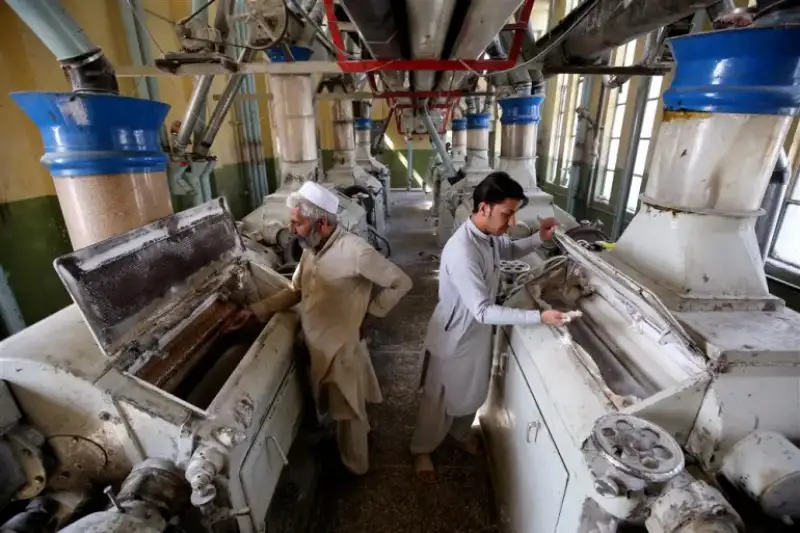 کدام کشورها در فهرست 25 اقتصاد برتر جهان تا سال 2075 قرار می گیرند؟ 19 25 اقتصاد بزرگ جهان تا سال 2075