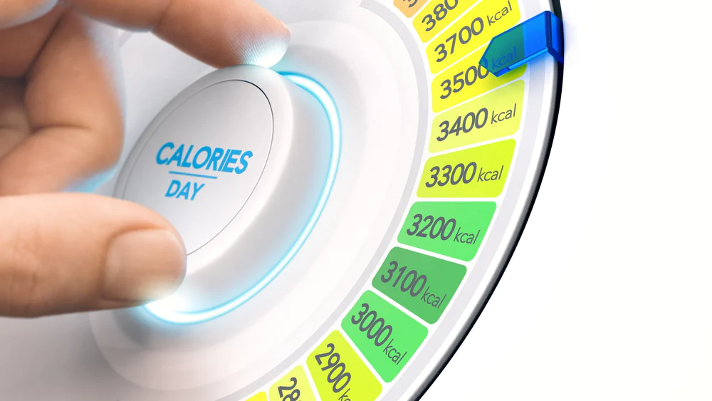 افراد چاق در طول روز انرژی کمتری می سوزانند 1 1700193810 273 افراد چاق در طول روز انرژی کمتری می سوزانند.webp