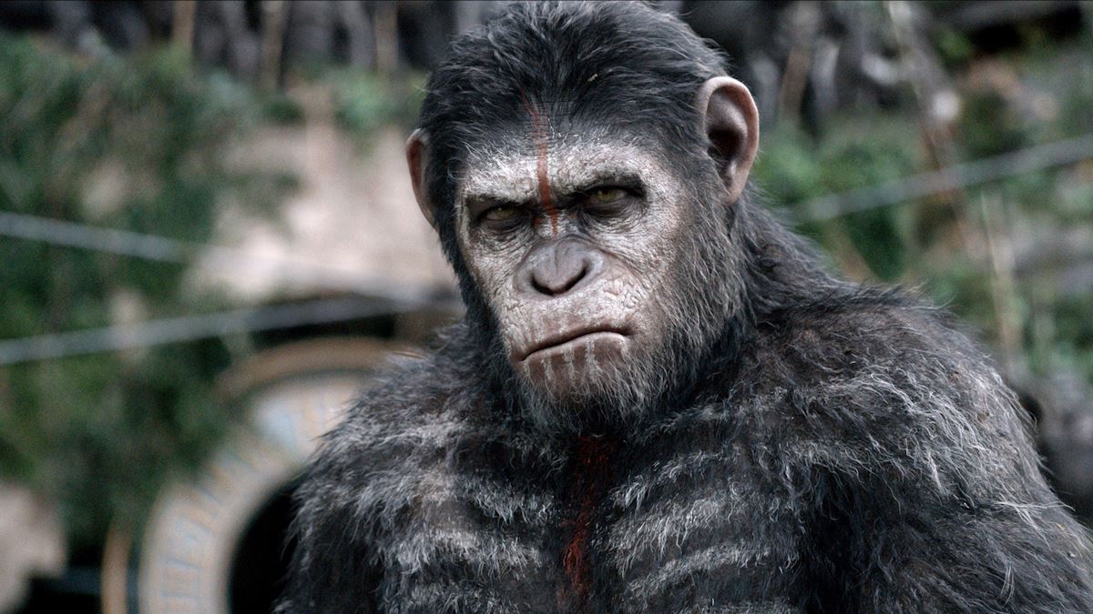 تصویری از فیلم علمی تخیلی Dawn of the Planet of the Apes