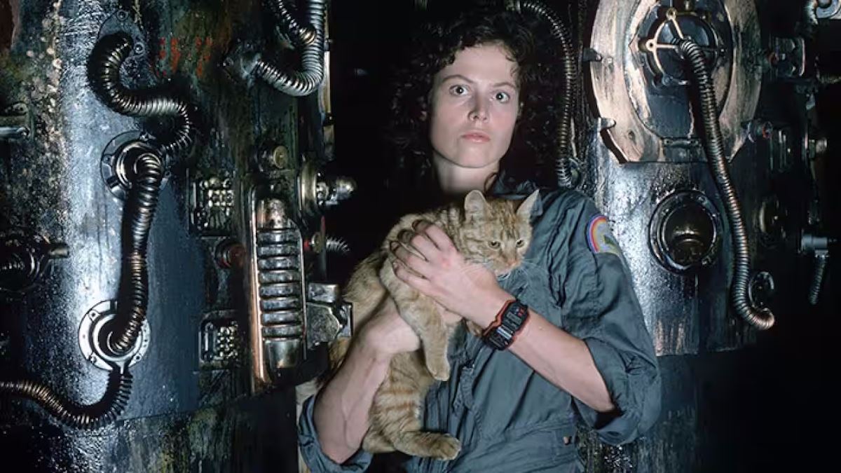 تصویری از فیلم علمی تخیلی Alien