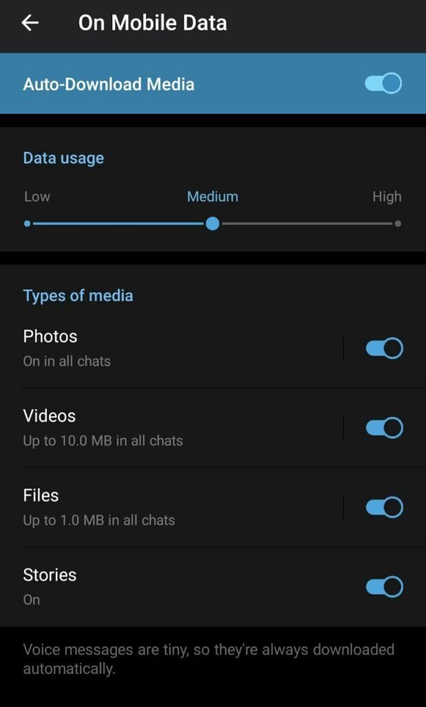 1717127946 794 غیر فعال کردن دانلود خودکار تلگرام ‌ بستن دانلود تلگرام
