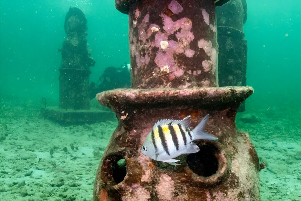 ساخت یک گالری از مجسمه در دریای کارائیب برای حمایتاز مرجانها_غروب شهر 2 1717784679 616 ساخت یک گالری از مجسمه در دریای کارائیب برای حمایتاز