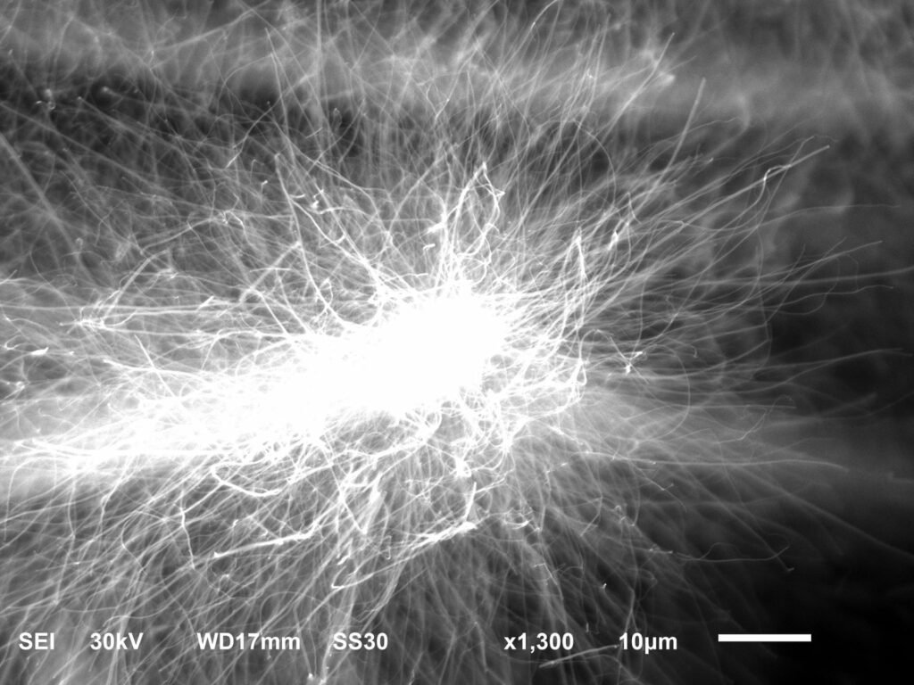 مسابقه عکاسی میکروسکوپی