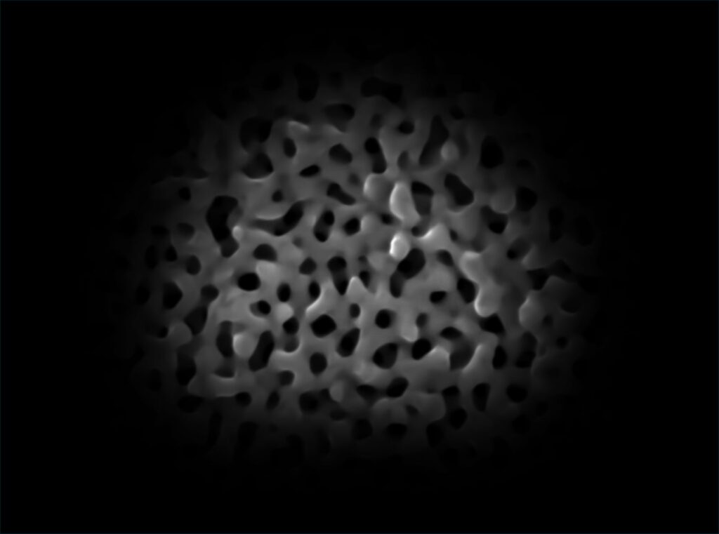 مسابقه عکاسی میکروسکوپی