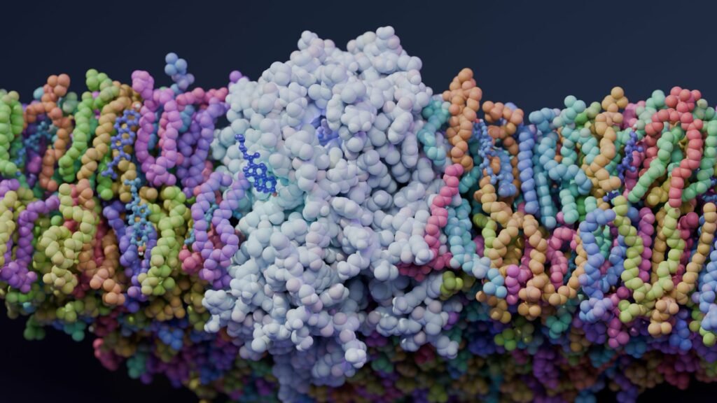 مسابقه عکاسی میکروسکوپی