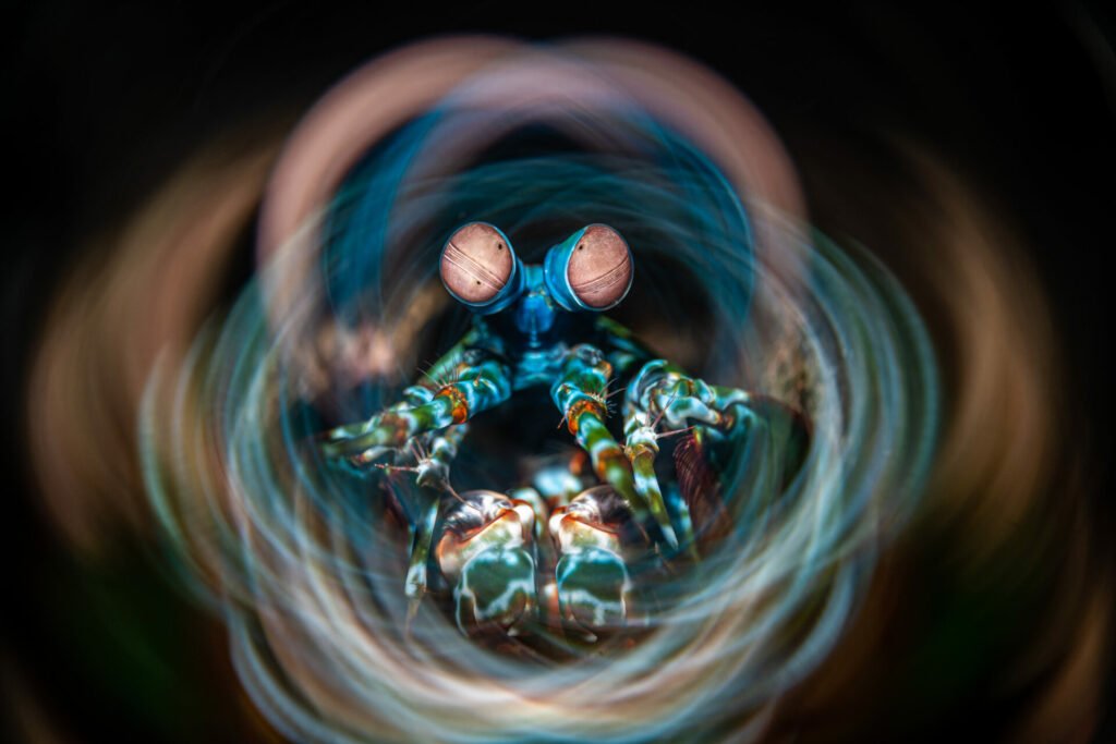 1724083006 293 فینالیست‌های مسابقه عکاسی اقیانوس 2024 اشکار شدند عکس غروب شهر