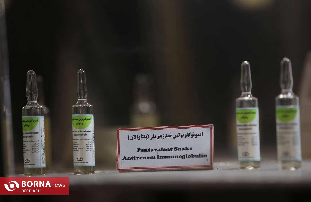 تولید پادزهرهای نجات‌بخش در ایران/ سالانه ۱۰ هزار ایرانی از مرگ حتمی نجات می‌یابند