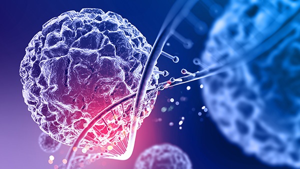 تشخیص سالانه ۱۵ هزار مورد جدید سرطان پستان در ایران/ تابوها و کمبود آگاهی موانع اصلی پیشگیری تشخیص سالانه ۱۵ هزار مورد جدید سرطان پستان در ایران/ تابوها و کمبود آگاهی موانع اصلی پیشگیری