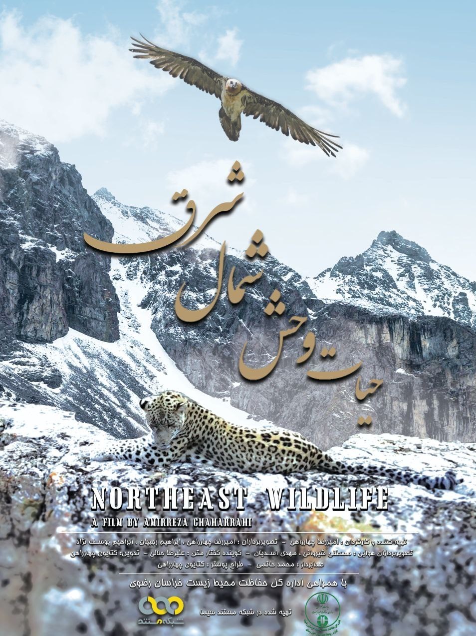 تصاویر مستند و دیدنی از "پلنگ ایرانی" در قلب جهان!_غروب شهر 5 مستند , سینما , تلویزیون ,