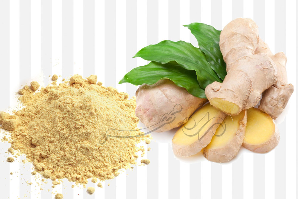 از تقویت مو تا کاهش التهاب؛ گیاهی همه‌کاره برای زندگی سالم