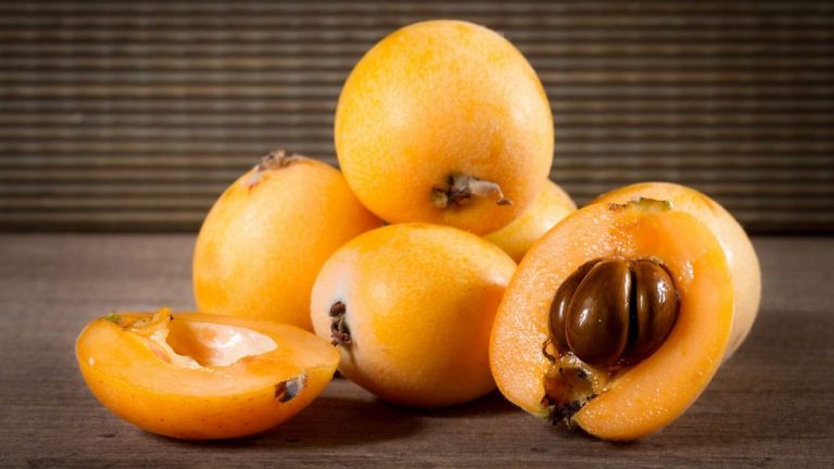 خواص و مضرات ازگیل، طرز تهیه مربا و کیک و ترشی ازگیل