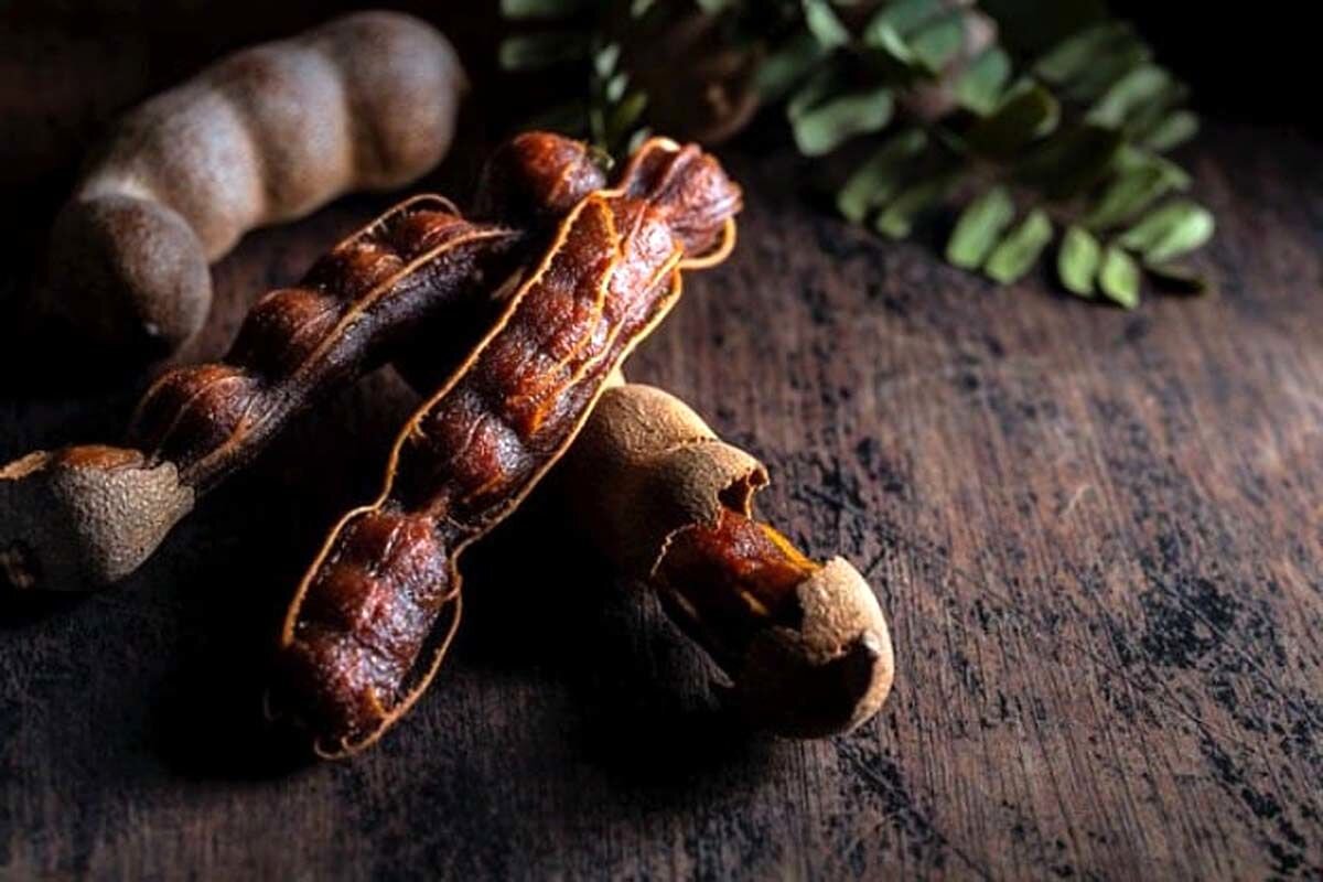 تمر هندی؛ میوه‌ای ترش با فواید شگفت‌انگیز برای سلامت بدن