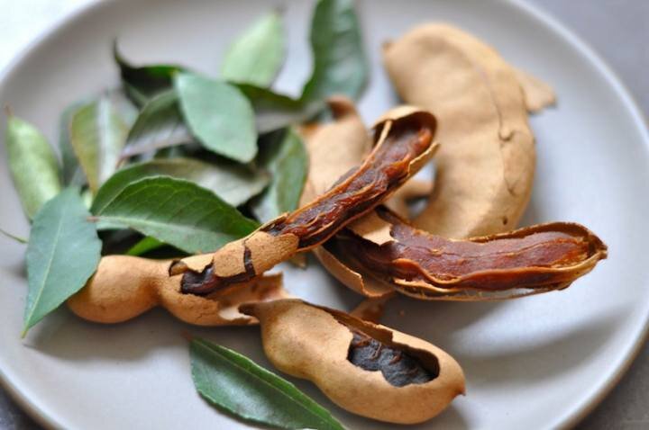 تمر هندی؛ میوه‌ای ترش با فواید شگفت‌انگیز برای سلامت بدن