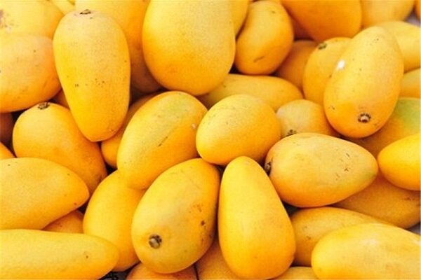 سلطان میوه‌های استوایی با خواص بی‌نظیر برای بدن