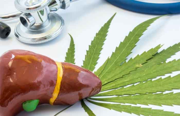 کبدتان در خطر است؟ راهکارهای طلایی برای جلوگیری از کبد چرب - غروب شهر 1 درمان کبد چرب با طب سنتی | طب سنتی دکتر سریتا